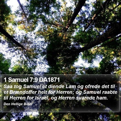 1 Samuel 7:9 DA1871 Bible Verse Image