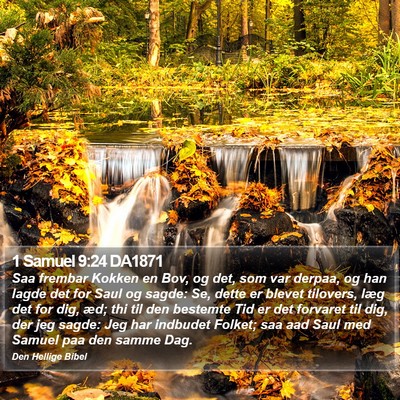 1 Samuel 9:24 DA1871 Bible Verse Image