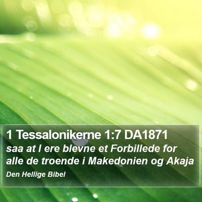 1 Tessalonikerne 1:7 DA1871 Bible Verse Image