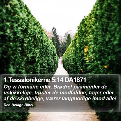 1 Tessalonikerne 5:14 DA1871 Bible Verse Image