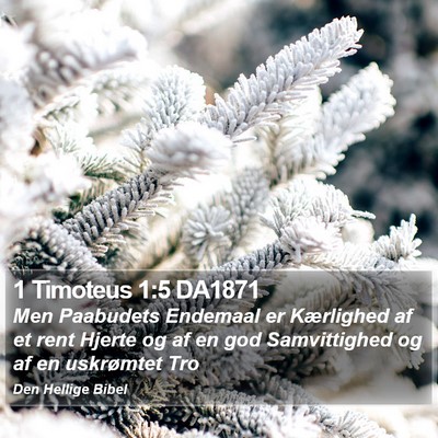 1 Timoteus 1:5 DA1871 Bible Verse Image