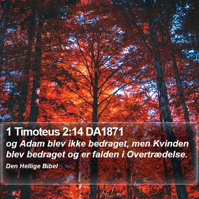 1 Timoteus 2:14 DA1871 Bible Verse Image