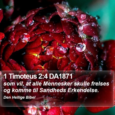 1 Timoteus 2:4 DA1871 Bible Verse Image