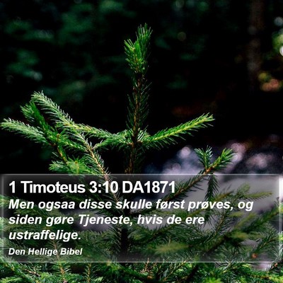 1 Timoteus 3:10 DA1871 Bible Verse Image