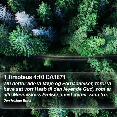 1 Timoteus 4:10 DA1871 Bible Verse Image