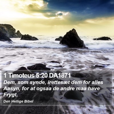 1 Timoteus 5:20 DA1871 Bible Verse Image