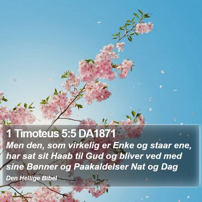 1 Timoteus 5:5 DA1871 Bible Verse Image