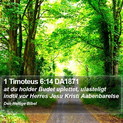 1 Timoteus 6:14 DA1871 Bible Verse Image
