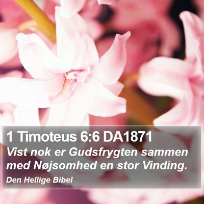 1 Timoteus 6:6 DA1871 Bible Verse Image