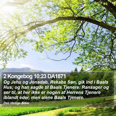 2 Kongebog 10:23 DA1871 Bible Verse Image