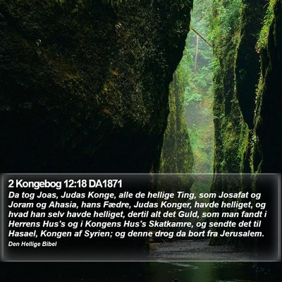 2 Kongebog 12:18 DA1871 Bible Verse Image