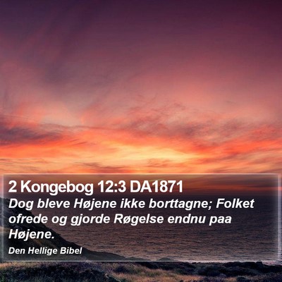 2 Kongebog 12:3 DA1871 Bible Verse Image