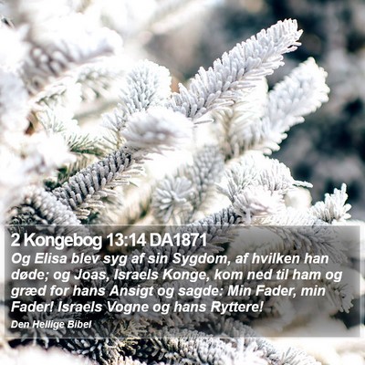 2 Kongebog 13:14 DA1871 Bible Verse Image