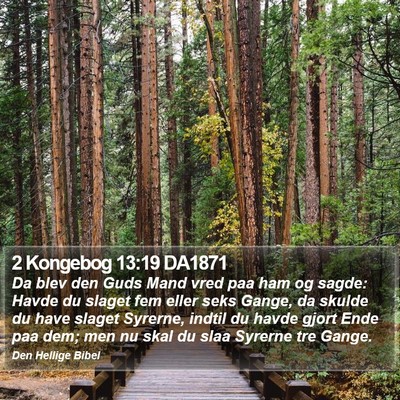 2 Kongebog 13:19 DA1871 Bible Verse Image