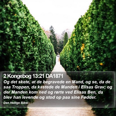 2 Kongebog 13:21 DA1871 Bible Verse Image