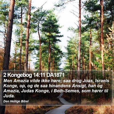 2 Kongebog 14:11 DA1871 Bible Verse Image