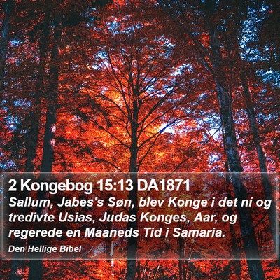 2 Kongebog 15:13 DA1871 Bible Verse Image