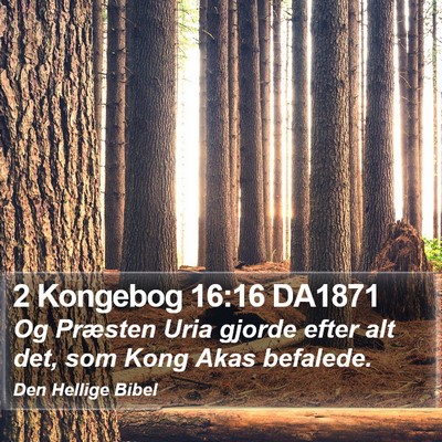 2 Kongebog 16:16 DA1871 Bible Verse Image