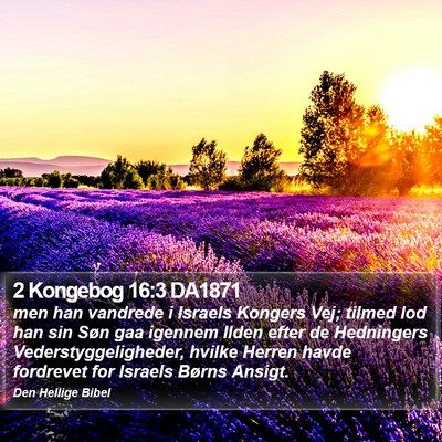 2 Kongebog 16:3 DA1871 Bible Verse Image