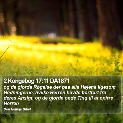 2 Kongebog 17:11 DA1871 Bible Verse Image