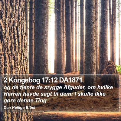 2 Kongebog 17:12 DA1871 Bible Verse Image