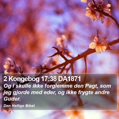 2 Kongebog 17:38 DA1871 Bible Verse Image
