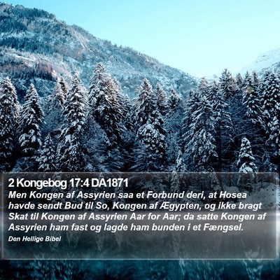 2 Kongebog 17:4 DA1871 Bible Verse Image