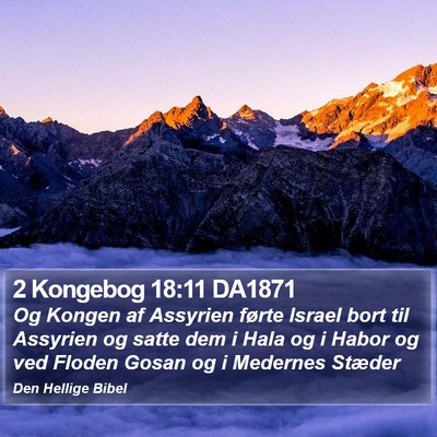 2 Kongebog 18:11 DA1871 Bible Verse Image