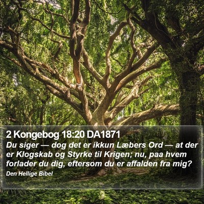 2 Kongebog 18:20 DA1871 Bible Verse Image