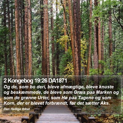 2 Kongebog 19:26 DA1871 Bible Verse Image