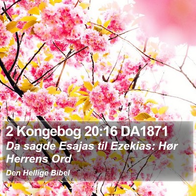 2 Kongebog 20:16 DA1871 Bible Verse Image