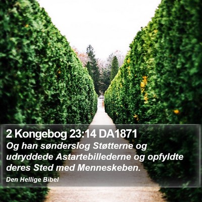 2 Kongebog 23:14 DA1871 Bible Verse Image