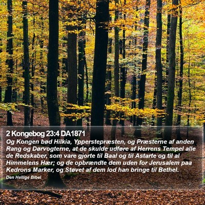 2 Kongebog 23:4 DA1871 Bible Verse Image