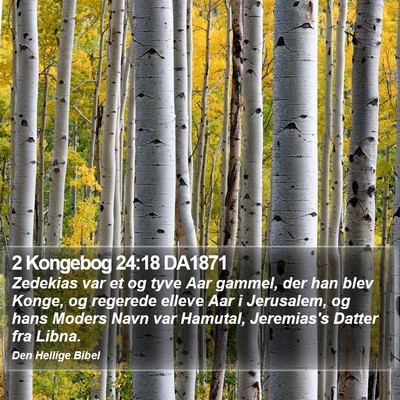 2 Kongebog 24:18 DA1871 Bible Verse Image
