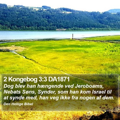 2 Kongebog 3:3 DA1871 Bible Verse Image