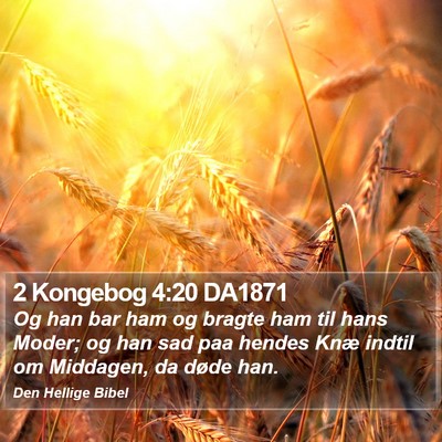 2 Kongebog 4:20 DA1871 Bible Verse Image