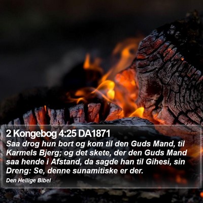 2 Kongebog 4:25 DA1871 Bible Verse Image