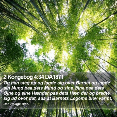 2 Kongebog 4:34 DA1871 Bible Verse Image