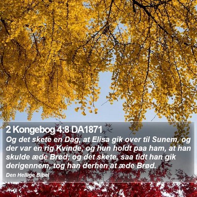 2 Kongebog 4:8 DA1871 Bible Verse Image
