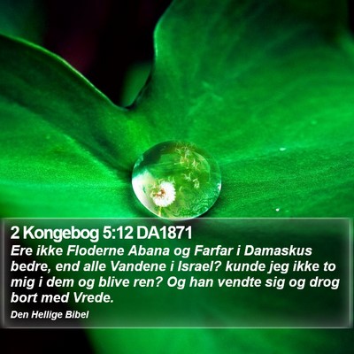2 Kongebog 5:12 DA1871 Bible Verse Image