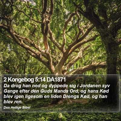 2 Kongebog 5:14 DA1871 Bible Verse Image