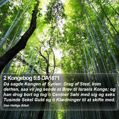 2 Kongebog 5:5 DA1871 Bible Verse Image