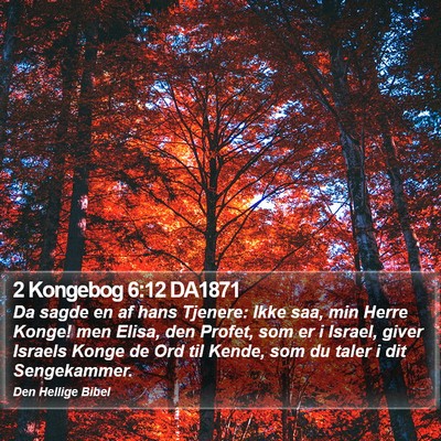 2 Kongebog 6:12 DA1871 Bible Verse Image