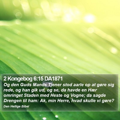 2 Kongebog 6:15 DA1871 Bible Verse Image