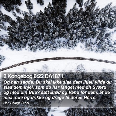 2 Kongebog 6:22 DA1871 Bible Verse Image