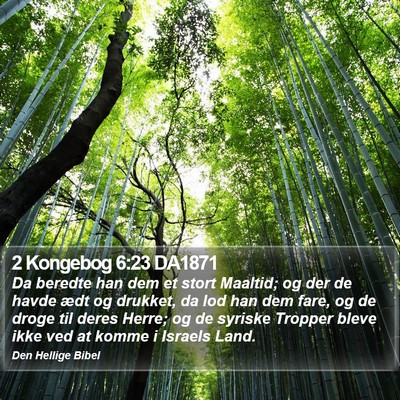 2 Kongebog 6:23 DA1871 Bible Verse Image