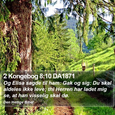 2 Kongebog 8:10 DA1871 Bible Verse Image