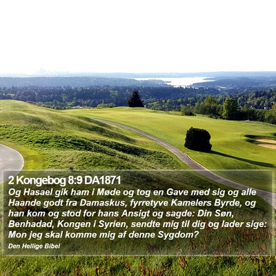 2 Kongebog 8:9 DA1871 Bible Verse Image