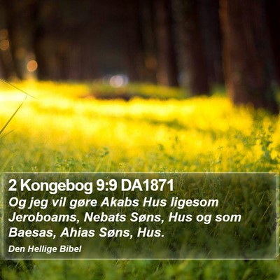 2 Kongebog 9:9 DA1871 Bible Verse Image