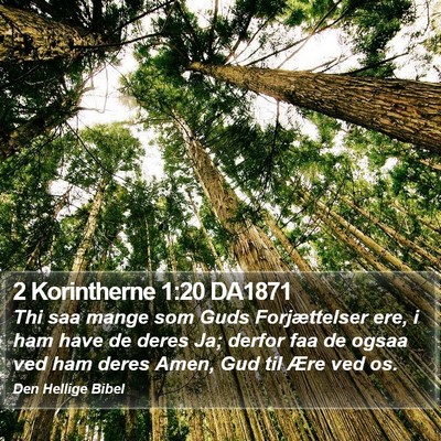 2 Korintherne 1:20 DA1871 Bible Verse Image